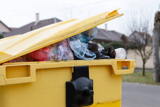 Best Basement Cleanout  in Yadkinville, NC